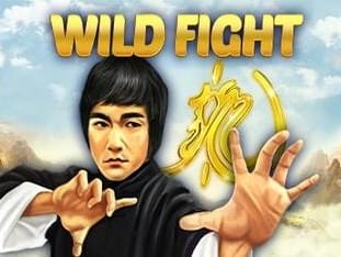 Wild Fight game icon